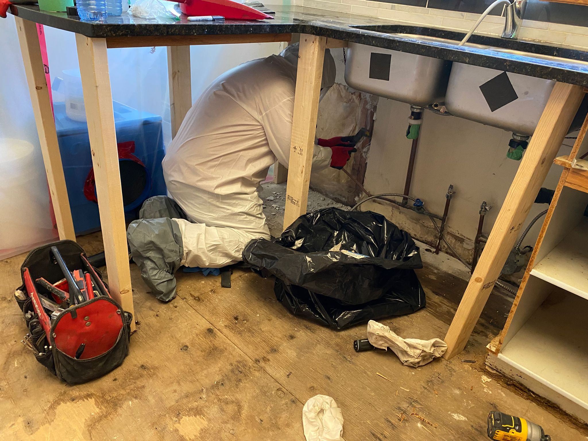 Mold Remediation